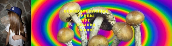 а пвп мука Богородицк