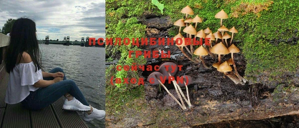 а пвп мука Богородицк