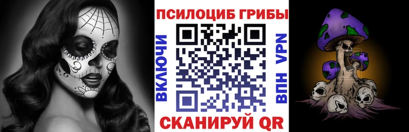 hydra   Тольятти  Галлюциногенные грибы прущие грибы 